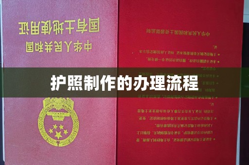 文水护照制作的办理流程
